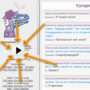 sshot-20200711-191713.png
